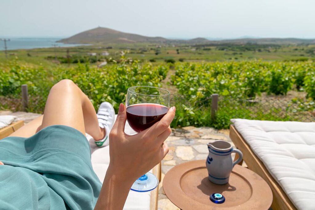 Nikmati Private Fruit Wine Tasting di teras bangunan Yunani kuno dengan latar kebun zaitun di private trip turki triplelines