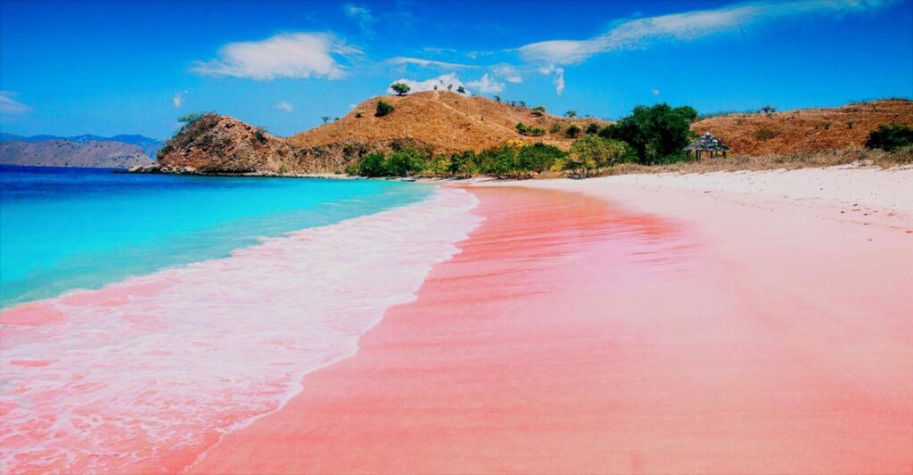pink beach komodo island indonesia