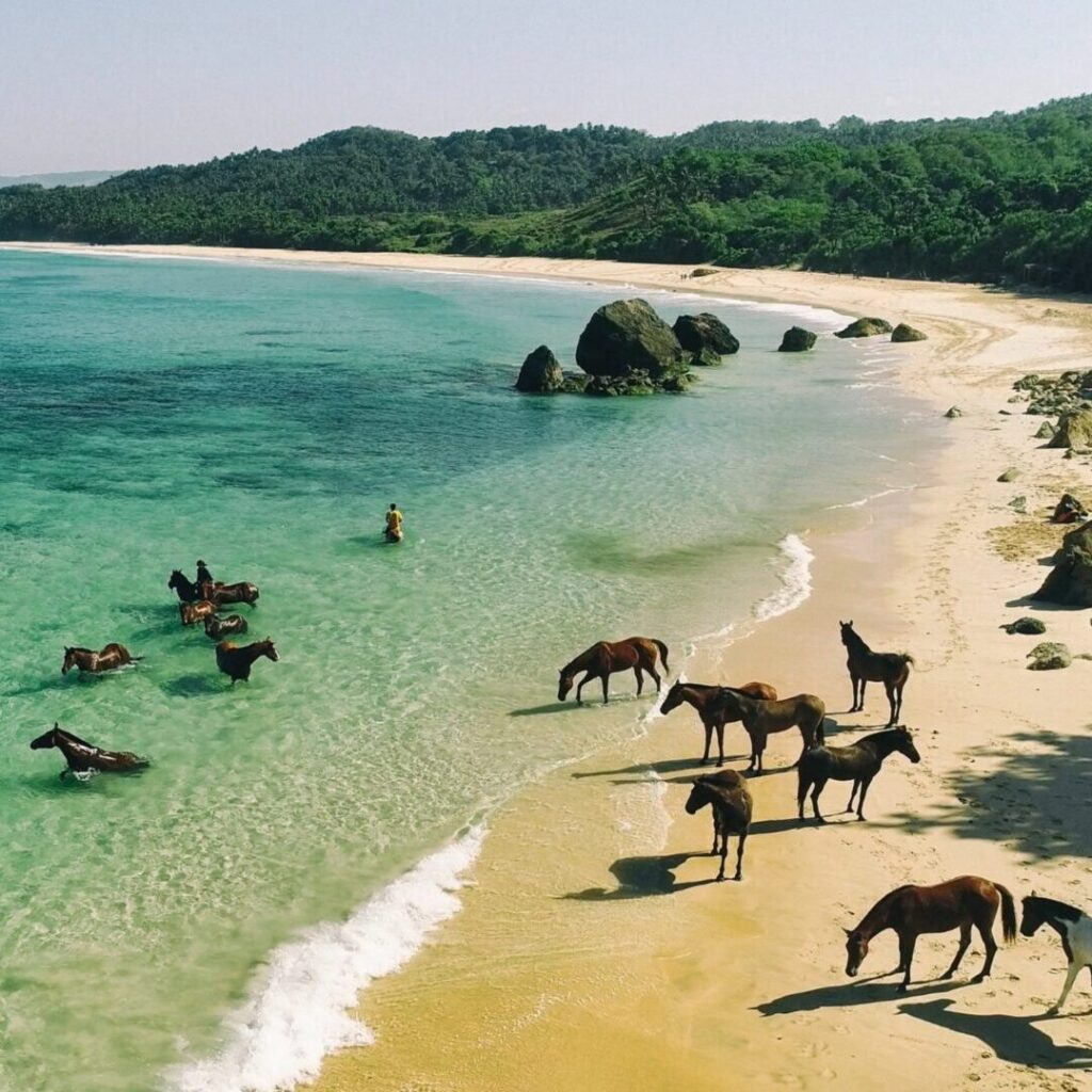 Pantai berpasir putih dengan deretan batu karang ikonik yang terkurasi untuk perjalanan eksklusif pantai nihiwatu wisata pulau sumba